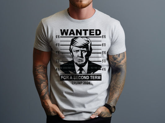 Wanted For A Second Term T-Shirt